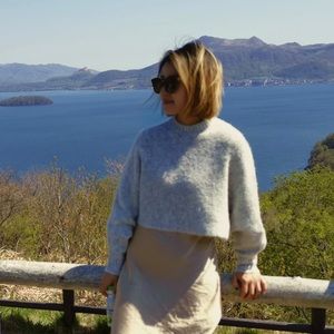 Aritzia cropped sweater | size small